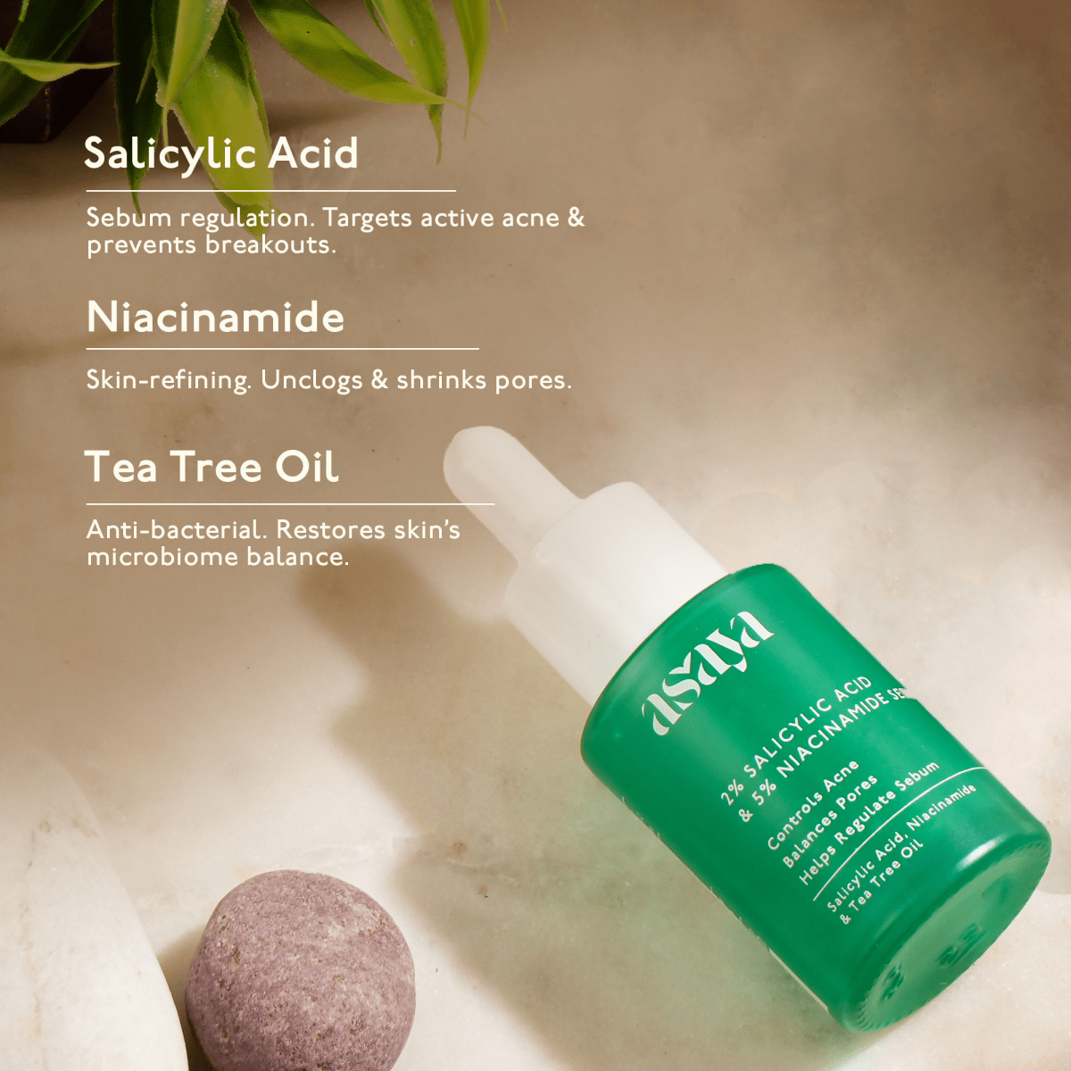 Asaya 2% Salicylic Acid Face Serum For Active Acne & Sebum Control With 5% Niacinamide & Tea Tree Oil