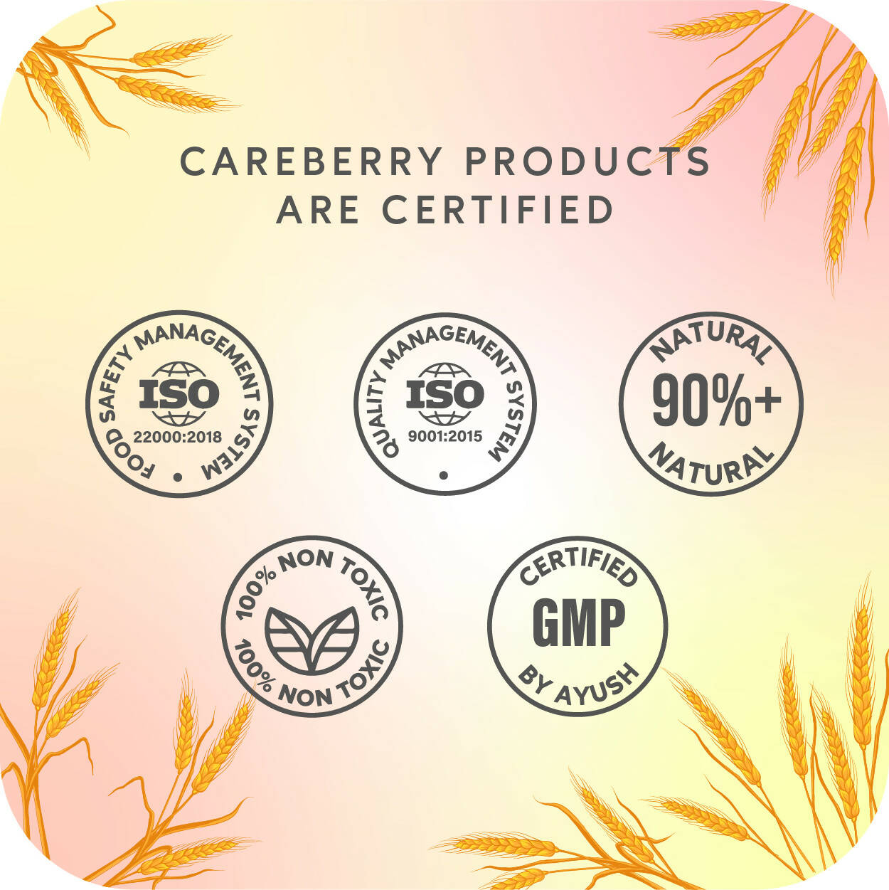 Careberry Fermented Rice Water & Wheat Volumizing Conditioner for Thin and Brittle Hair - DrMediCart