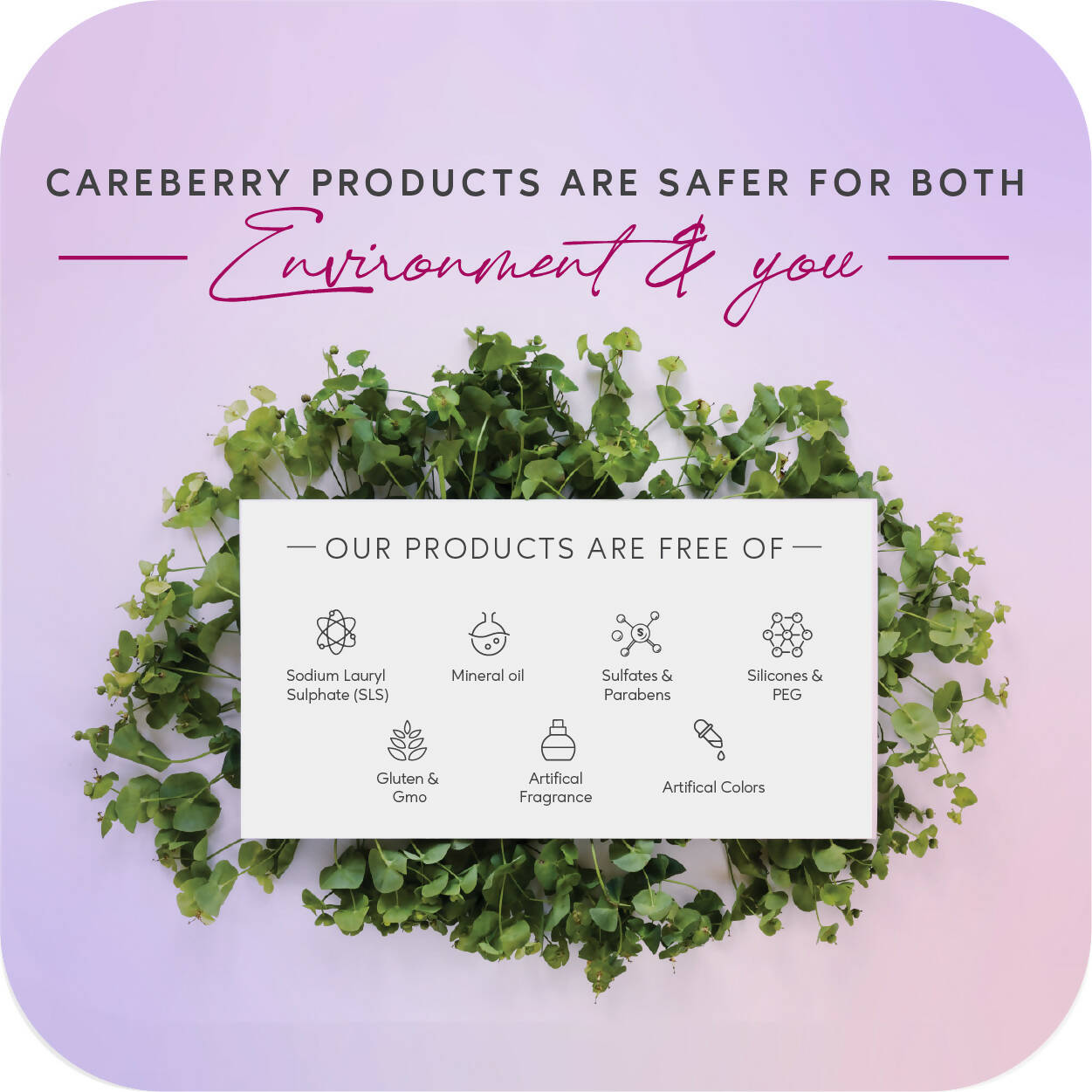 Careberry Organic Red Onion & Black Seed Oil Ultimate Anti Hair Fall Shampoo + Conditioner + Hair Oil - DrMediCart