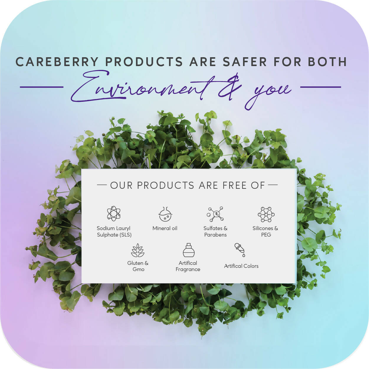 Careberry Biotin & Collagen Everyday Shampoo + Conditioner for Fast Hair Growth - DrMediCart