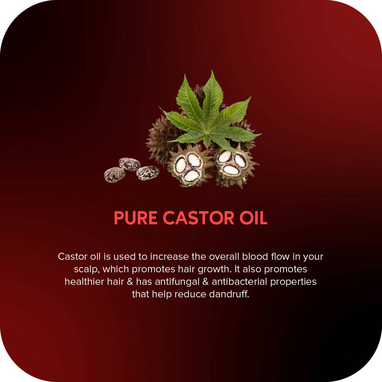 Careberry Organic Hexane-Free Organic Castor Oil For Hair, Face & Body - DrMediCart