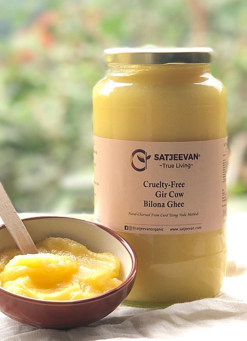 Satjeevan A2 Gir Cow Bilona Ghee | Pure A2 Gir Cow Bilona Ghee | 100% Gir Cow Ghee | Traditional Cow Ghee