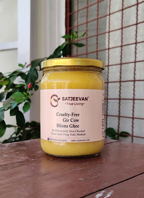 Satjeevan A2 Gir Cow Bilona Ghee | Pure A2 Gir Cow Bilona Ghee | 100% Gir Cow Ghee | Traditional Cow Ghee