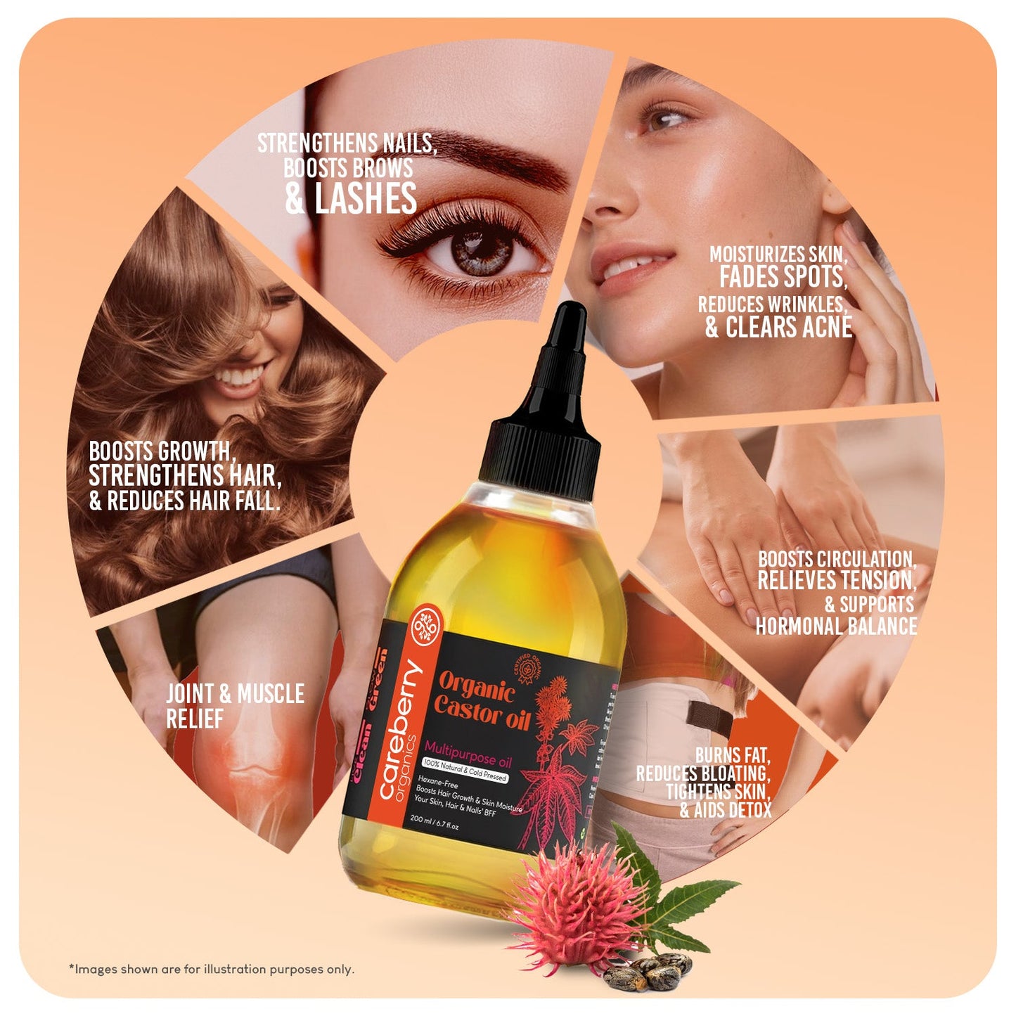 Careberry Organic Cold Pressed Castor Oil (Arandi Oil)