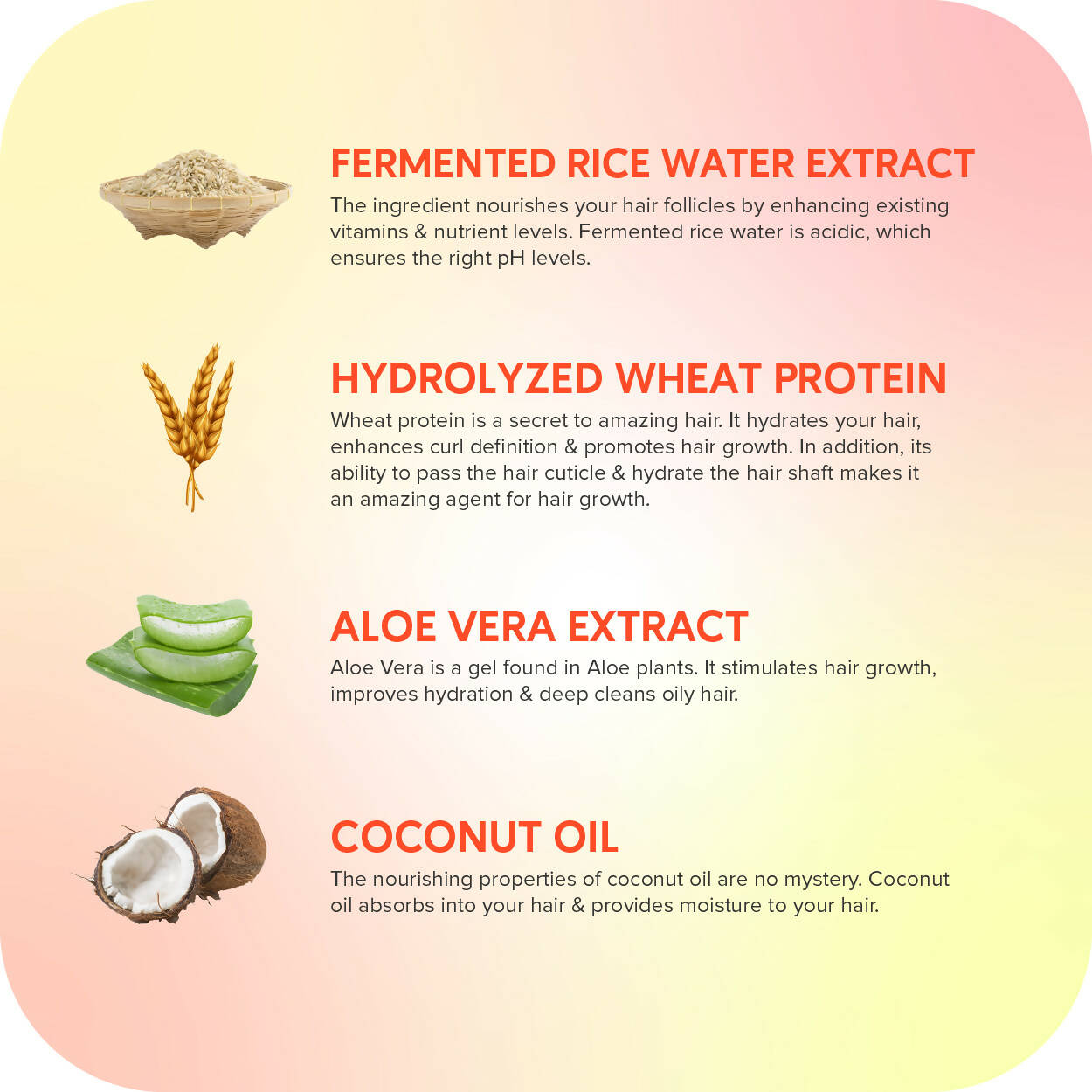 Careberry Fermented Rice Water & Wheat Volumizing Conditioner for Thin and Brittle Hair - DrMediCart