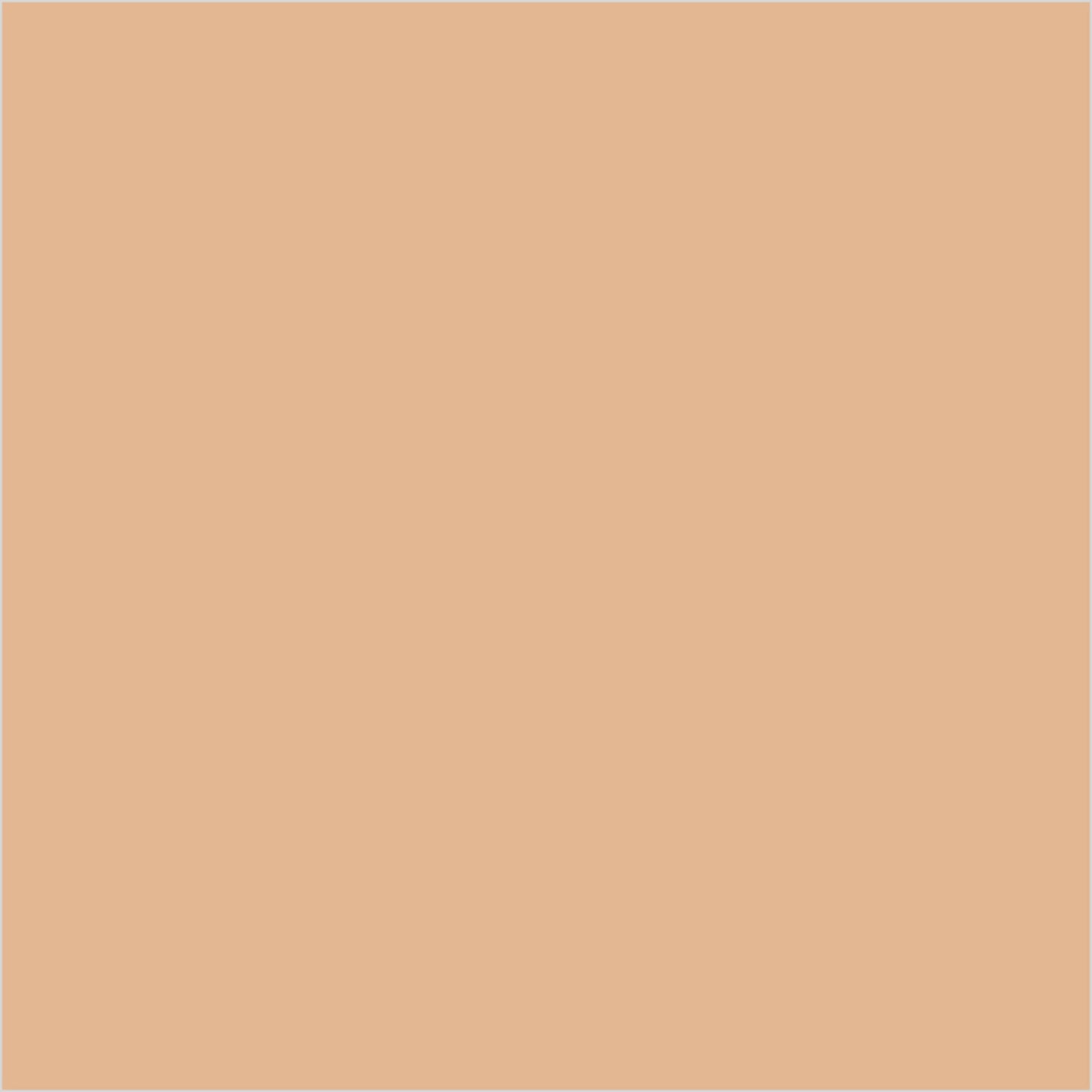Colorbar 24Hrs Wear Weightless Powder Foundation Pf 6