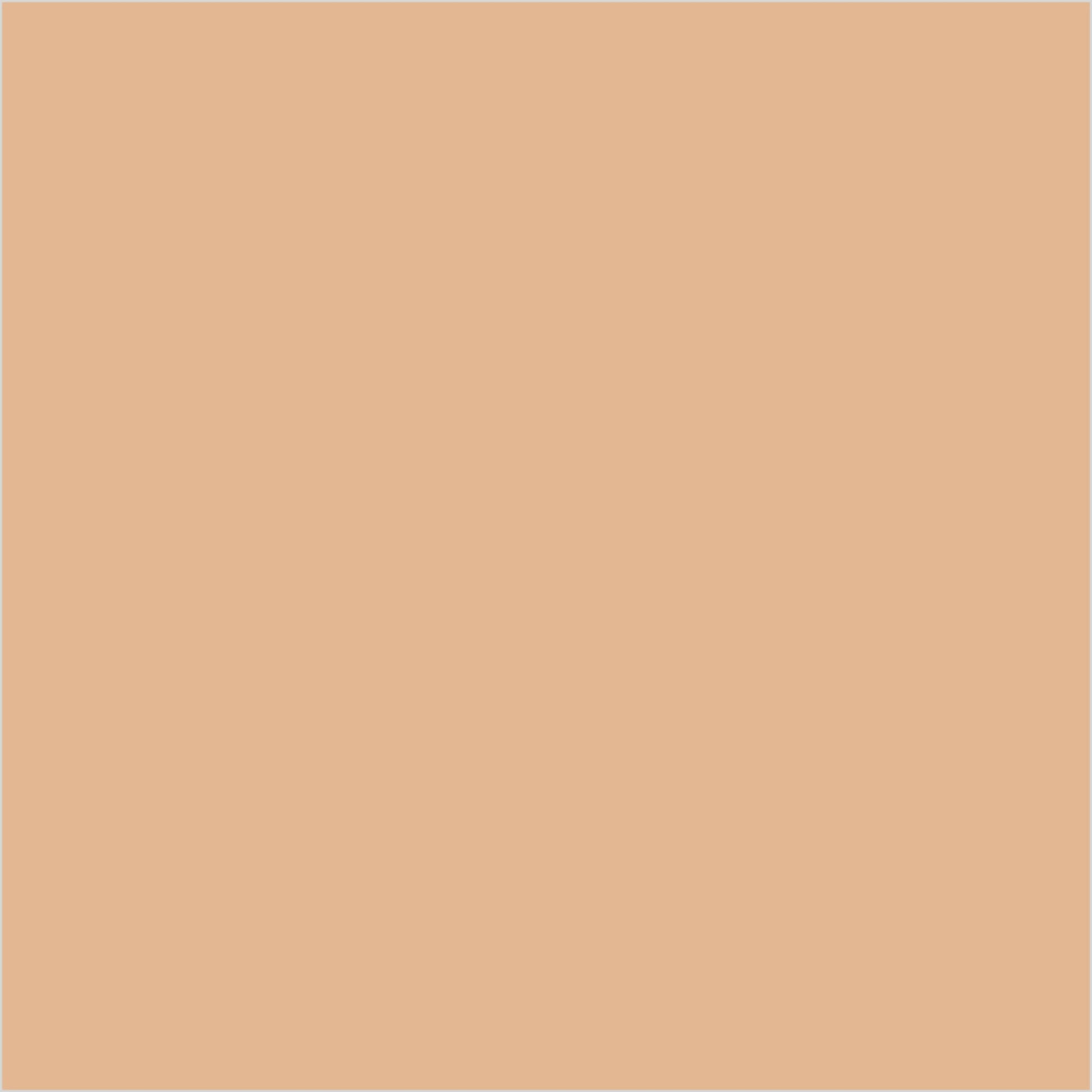 Colorbar 24Hrs Wear Weightless Powder Foundation Pf 6