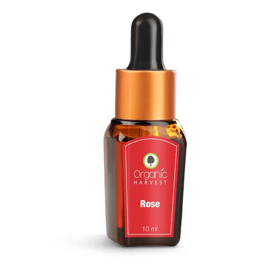 Buy Organic Harvest Rose Essential Oil from DrMediCart, Ship from India to USA