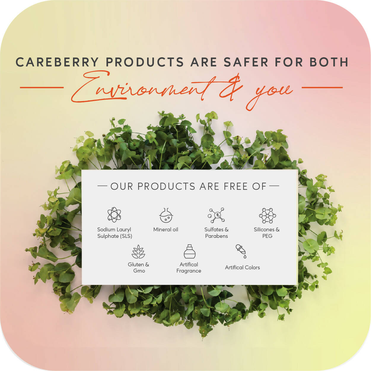 Careberry Fermented Rice Water & Wheat Volumizing Shampoo + Conditioner For Thin & Brittle Hair - DrMediCart