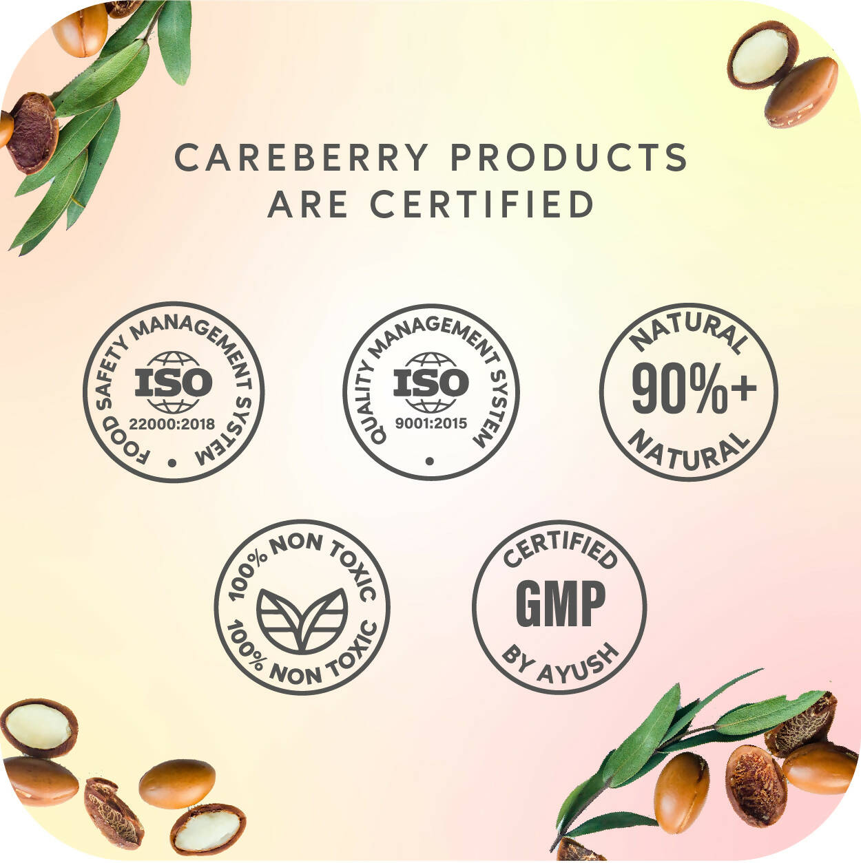 Careberry Moroccon Argan Oil & Silk Proteins Strengthening Conditioner for Strong & Silky Hair - DrMediCart