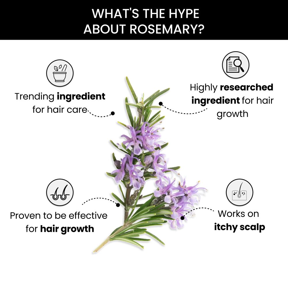 ThriveCo Rosemary Essential Oil
