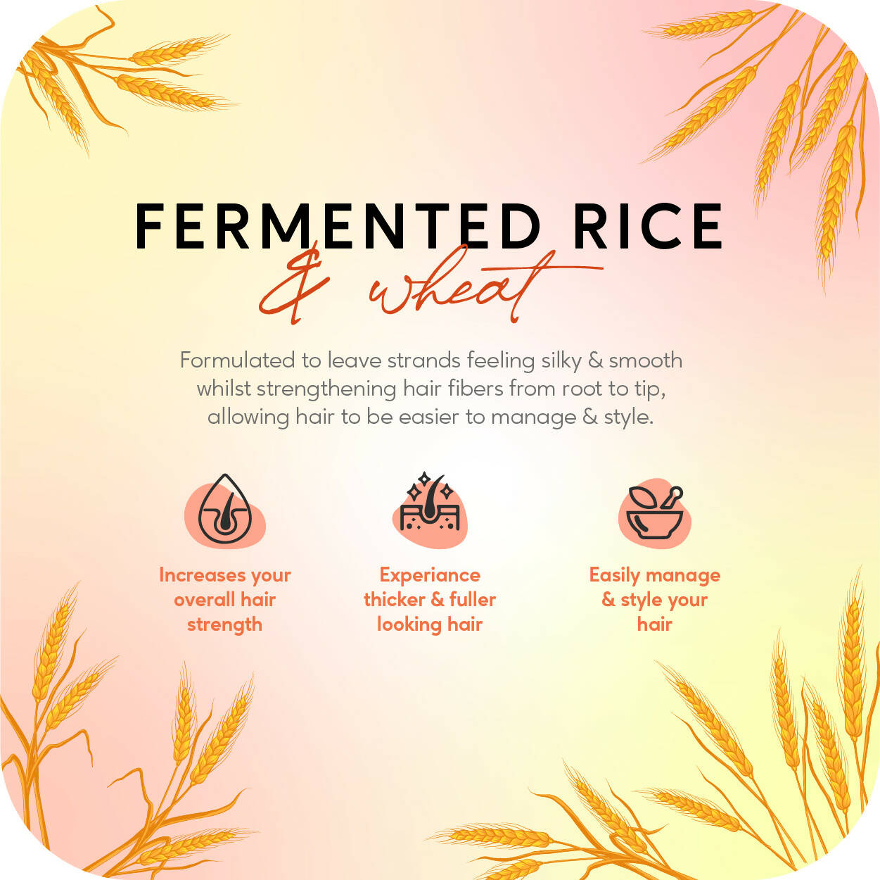 Careberry Fermented Rice Water & Wheat Volumizing Conditioner for Thin and Brittle Hair - DrMediCart
