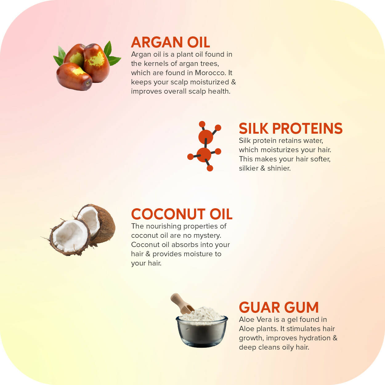 Careberry Moroccon Argan Oil & Silk Proteins Strengthening Conditioner for Strong & Silky Hair - DrMediCart