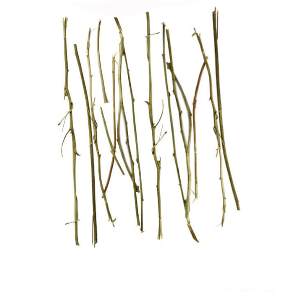 Mela Nelli / Canoe Dried (Raw) – Natural Herbal Medicine