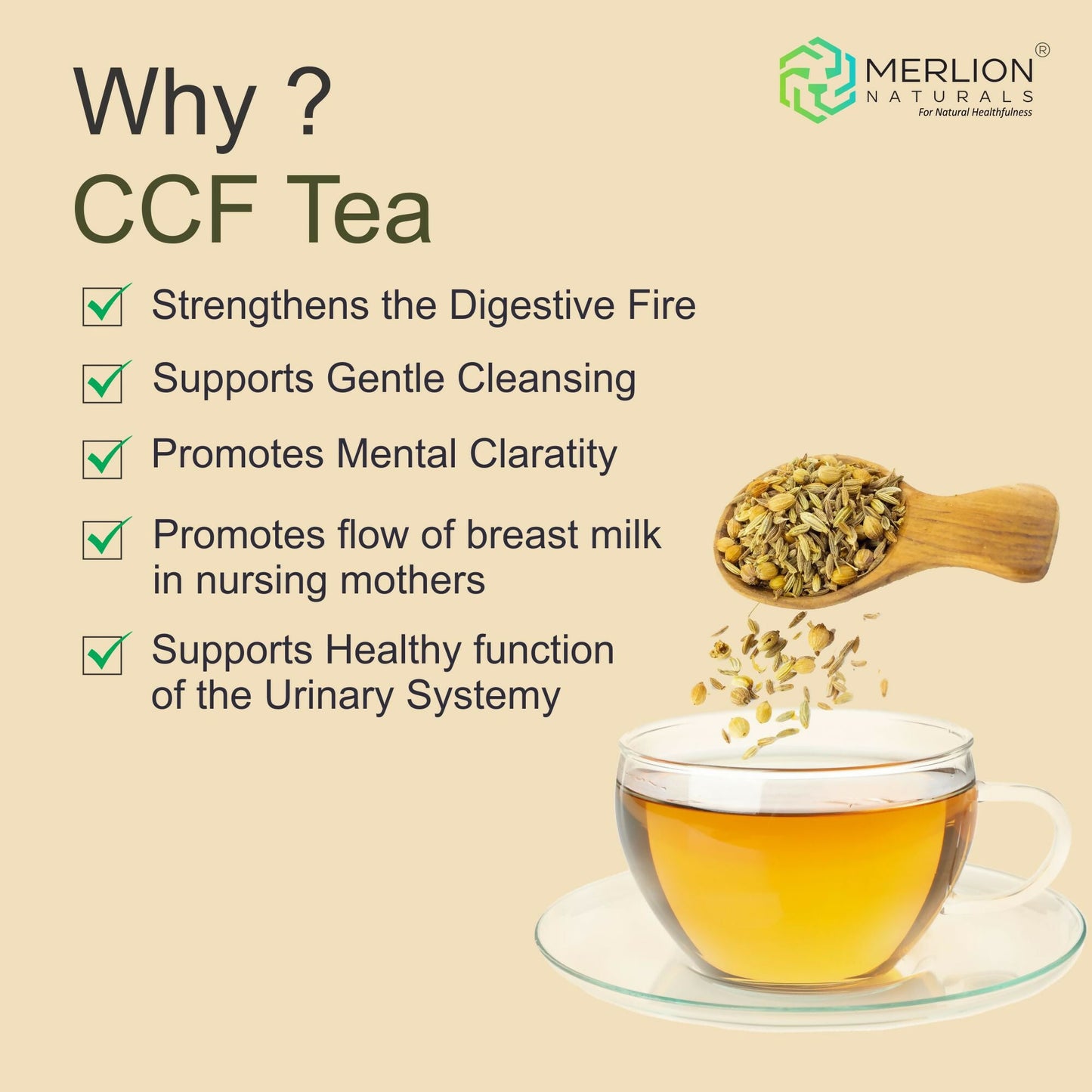 Merlion Naturals CCF Tea (Cumin, Coriander and Fennel Tea Bag)