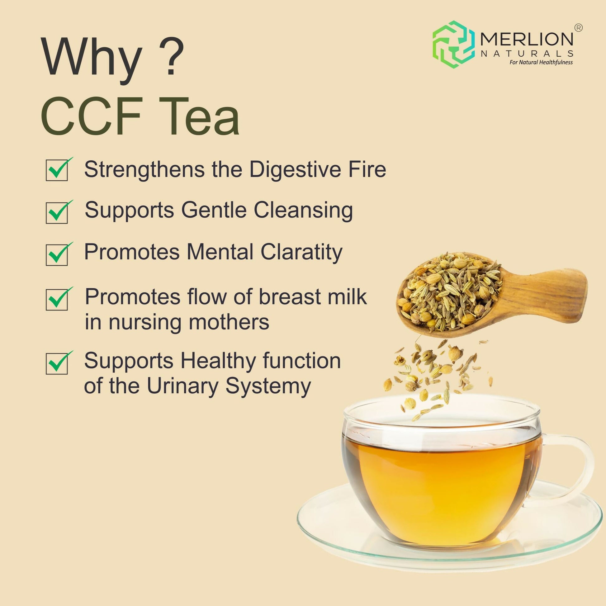 Merlion Naturals CCF Tea (Cumin, Coriander and Fennel Tea Bag)