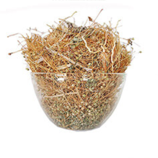 Buy Parpadaga Pul (Carpetweed) - Herbal Remedy for Fever, Thyroid & Heart Health from DrMediCart, Ship from India to USA