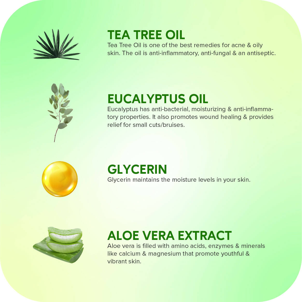 Careberry Organic Tea Tree & Eucalyptus Oil Shower Gel And Tea Tree Oil & Shea Butter Body Lotion - DrMediCart