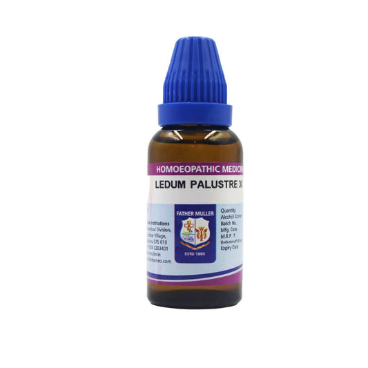 Father Muller Ledum Palustre Dilution