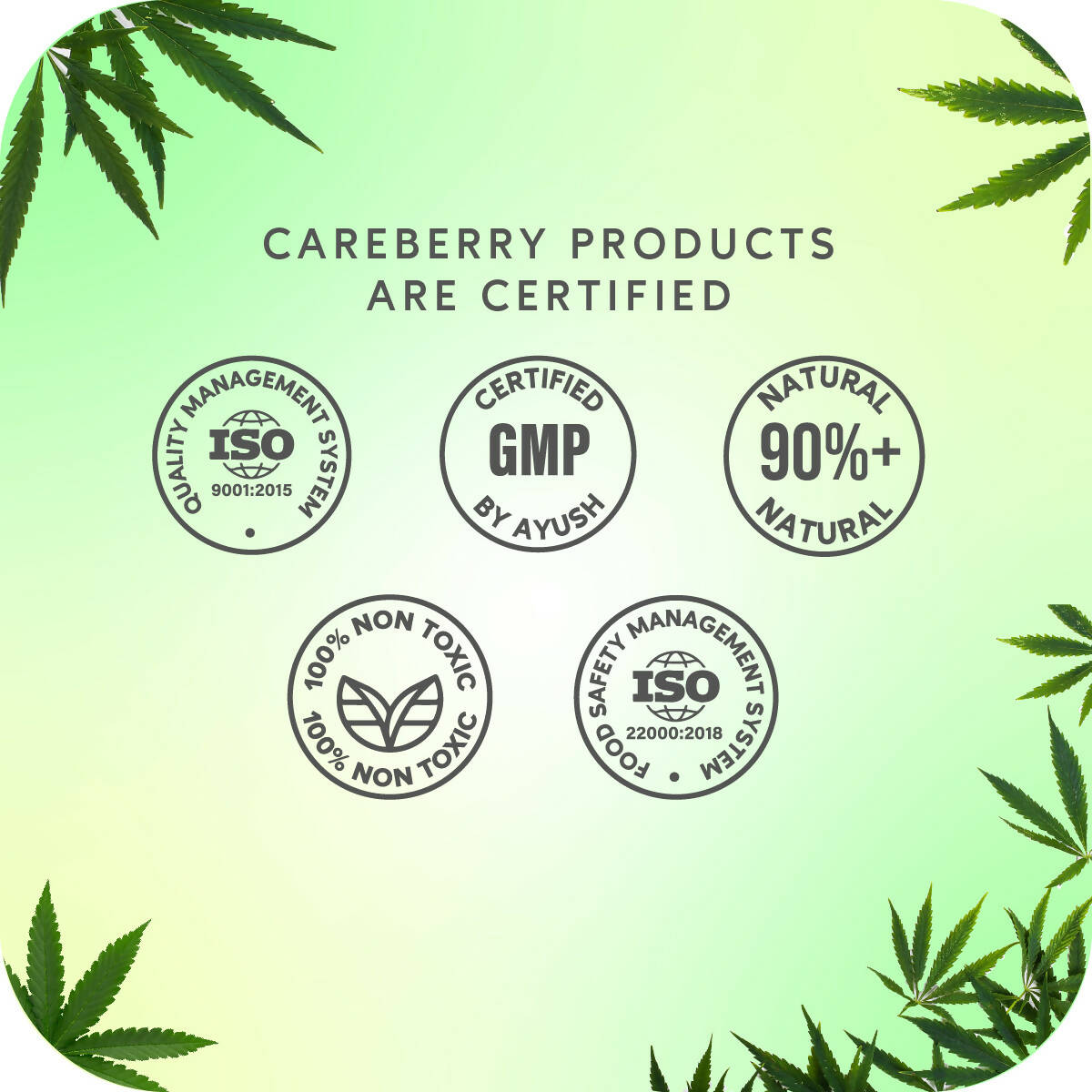 Careberry Organic Tea Tree & Eucalyptus Oil Shower Gel And Tea Tree Oil & Shea Butter Body Lotion - DrMediCart
