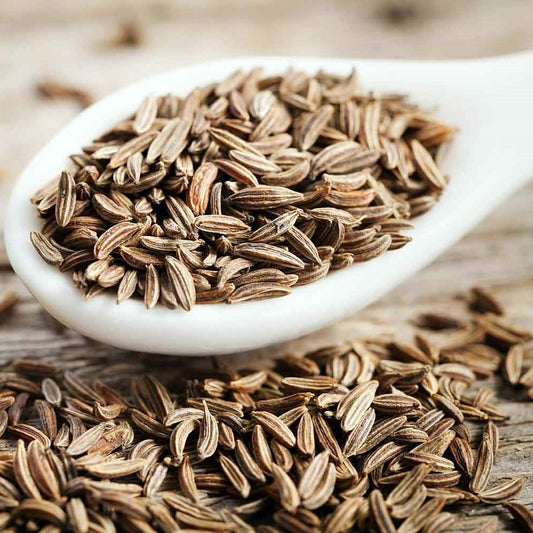 Native Harvest Jeera (cumin)