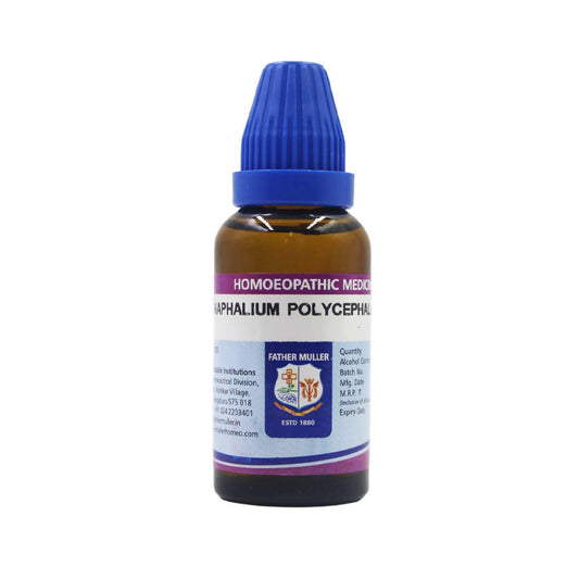 Father Muller Gnaphalium Polycephalum Dilution