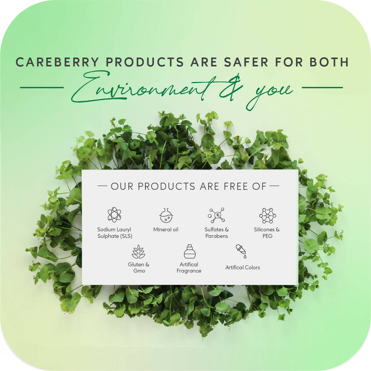 Careberry Organic Tea Tree & Eucalyptus Oil Shower Gel And Tea Tree Oil & Shea Butter Body Lotion - DrMediCart