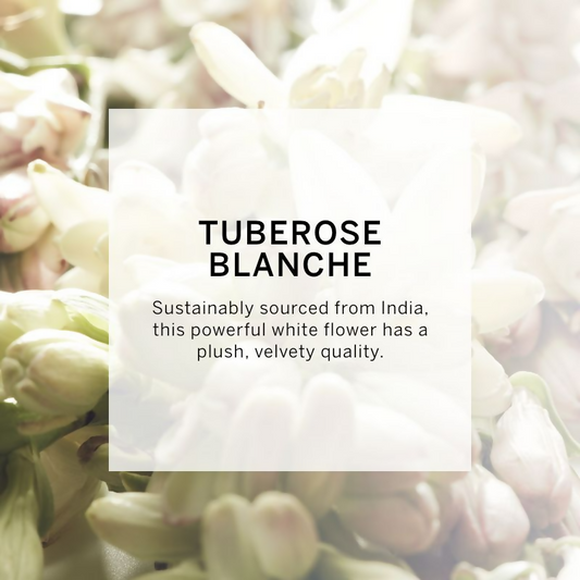 Buy Victoria's Secret Very Sexy Oasis Body Lotion from DrMediCart, Ship from India to USA