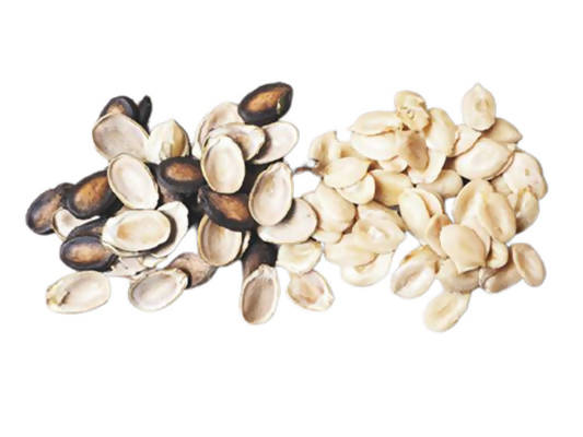 Freshon Organic Watermelon Seeds