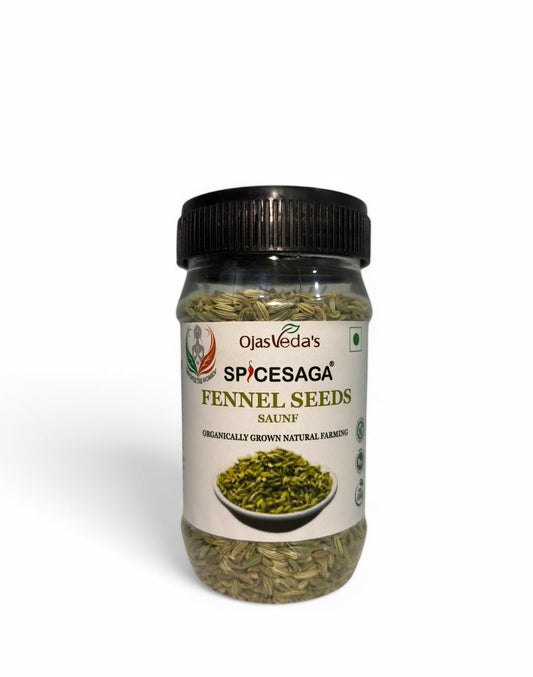 Spice Saga's Fennel Seeds