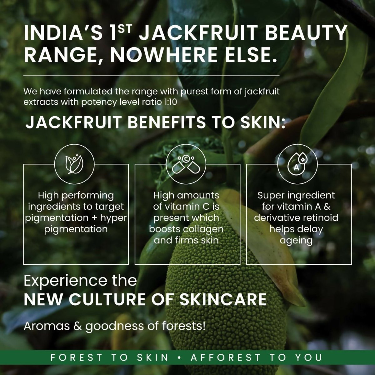 Afforest Jackfruit Bedtime Serum with 0.3% Alpha Arbutin, 1% Hyaluronic acid, Jackfruit seed extracts