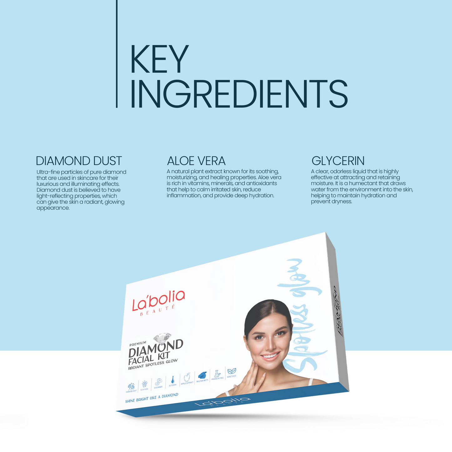 Labolia Beaute Premium Diamond Facial Kit