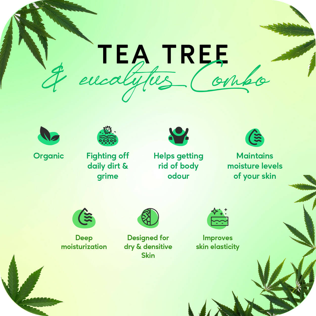 Careberry Organic Tea Tree & Eucalyptus Oil Shower Gel And Tea Tree Oil & Shea Butter Body Lotion - DrMediCart