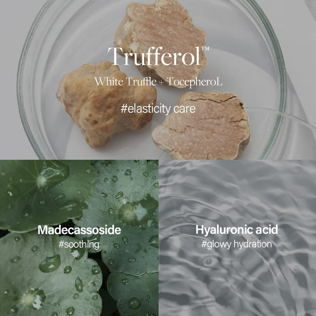 d'Alba Piedmont Italian White Truffle Waterfull Mild Sunscreen Vegan Skincare Mineral Sunscreen With Spf 50+ Pa++++
