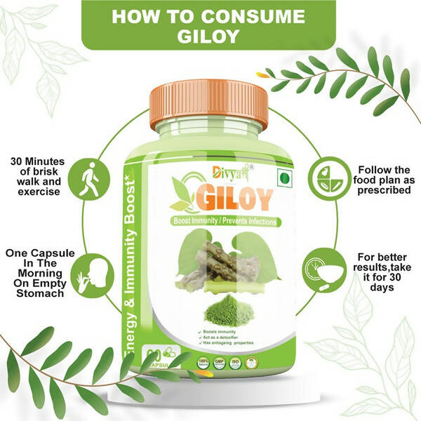 Divya Shree Giloy Capsules