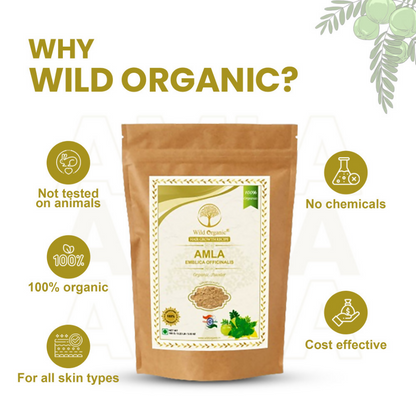 Wild Organic Amla Powder Natural Hair Growth