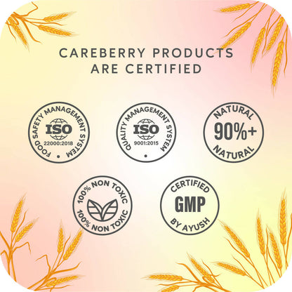Careberry Fermented Rice Water & Wheat Volumizing Conditioner for Thin and Brittle Hair - DrMediCart