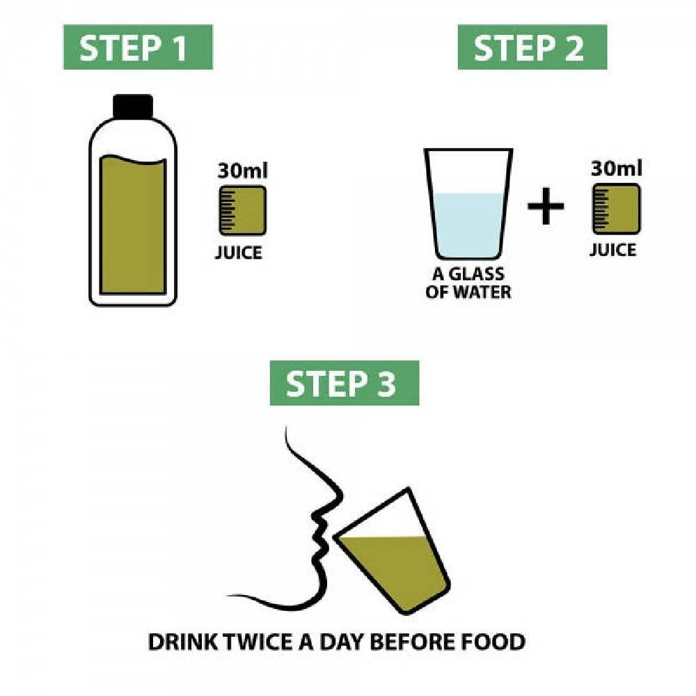 Vitro Naturals Healthy Amla Juice