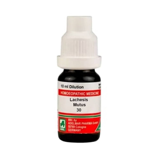 Buy Adel Homeopathy Lachesis Mutus Dilution from DrMediCart, Ship from India to USA