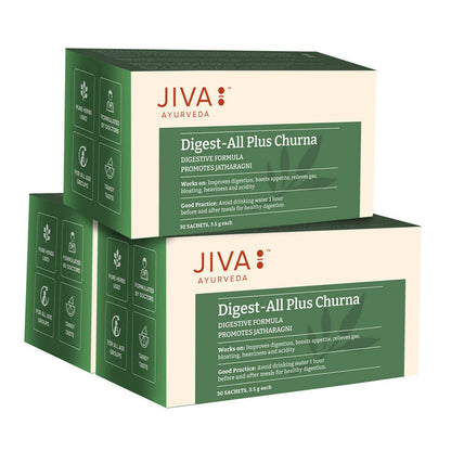 Jiva Ayurveda Digest All Plus Churna