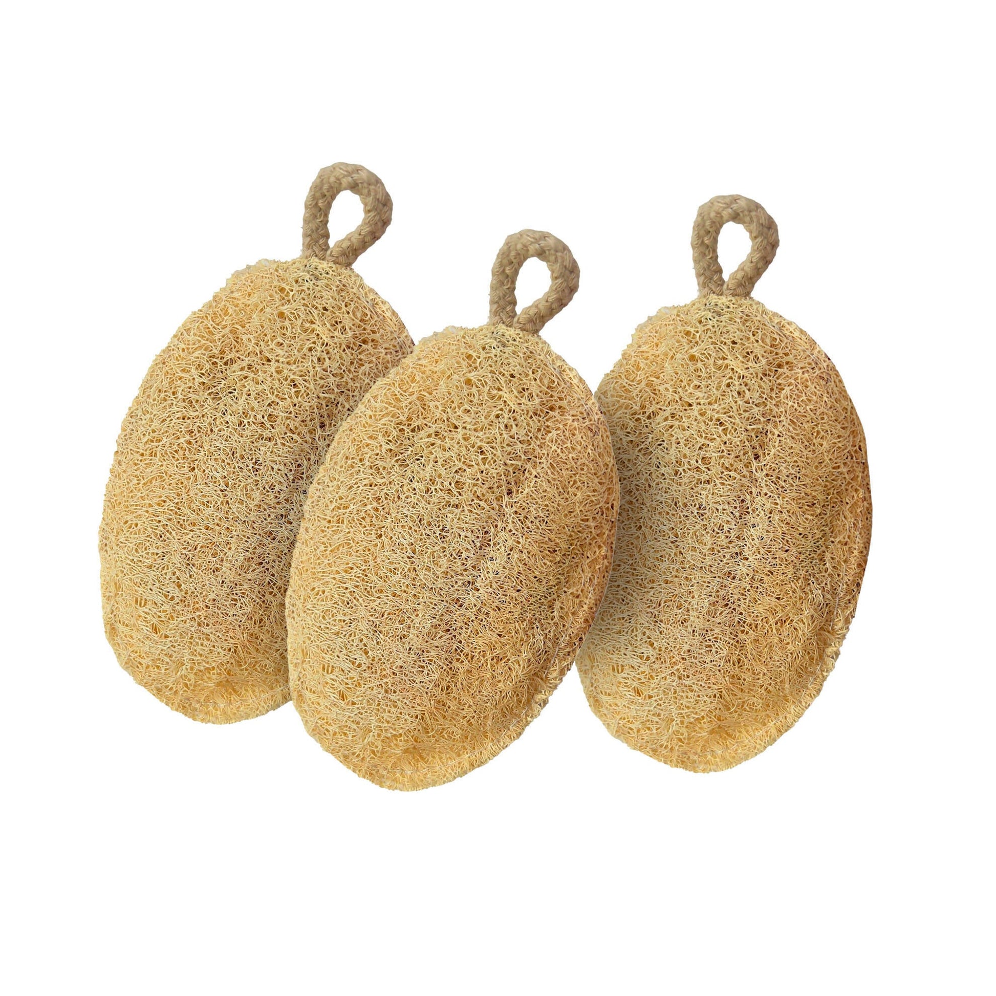 Careberry Earth-Embrace Exfoliating Loofah| Body Sponge Scrubber for Bathing | Bath Luffa Sponges