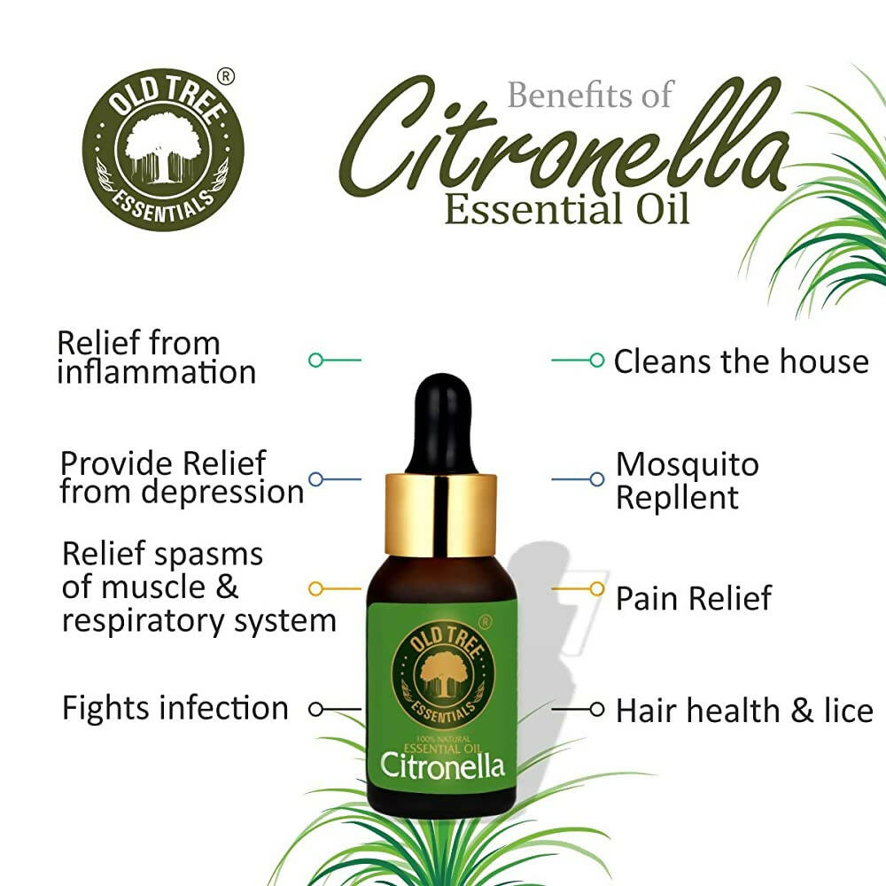 Old Tree Citronella Essential Oil