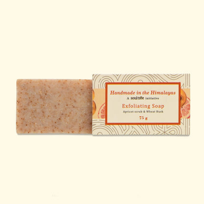Soultree Handmade In Himalayas Soap 75 gm