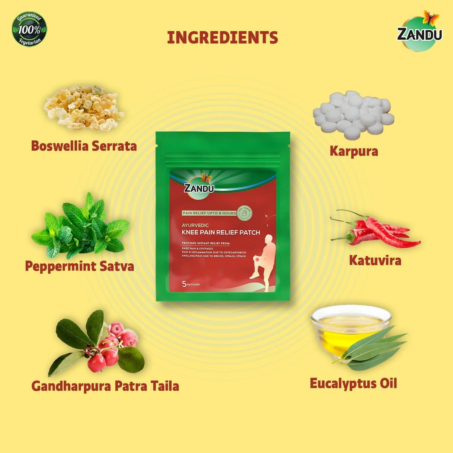Zandu Ayurvedic Knee Pain Relief Patch - Drmedicart