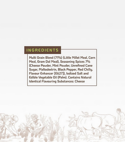Vasudha Nurtured By Nature Cheese Mint Masala Baked Crisps