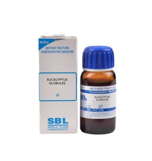 Buy SBL Homeopathy Eucalyptus Globules Mother Tincture Q from DrMediCart, Ship from India to USA