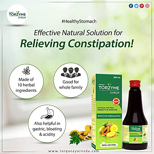 Torque's Torzyme Naural Protein Digestive Enzyme Syrup