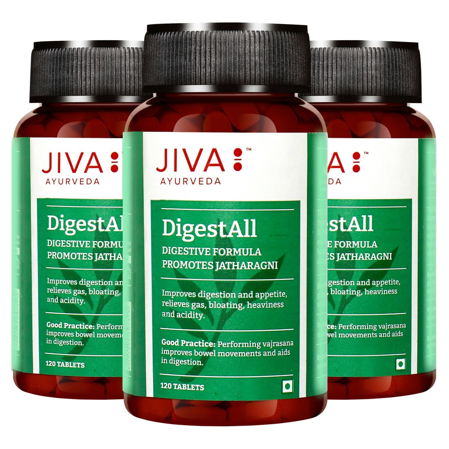 Jiva Ayurveda Digestall Tablets