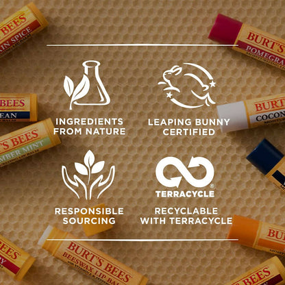 Burt's Bees Beeswax Lip Balm With Vitamin E & Peppermint