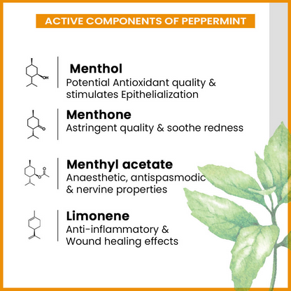 Keya Seth Aromatherapy Energizing Body Massage Oil